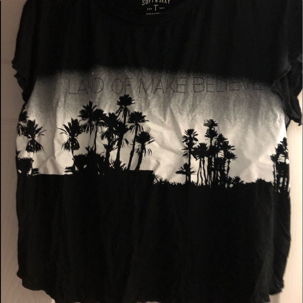AEO cropped graphic T-shirt L - Picture 3 of 3